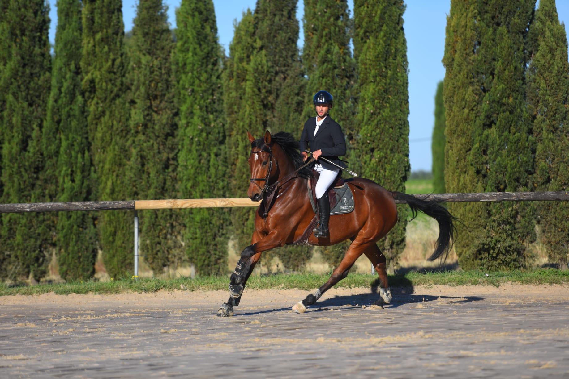 Photo du professionnel équestre Thomas spécialisé en Cavalier pro